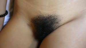 Closeup of Hairy Laos Pussy mound