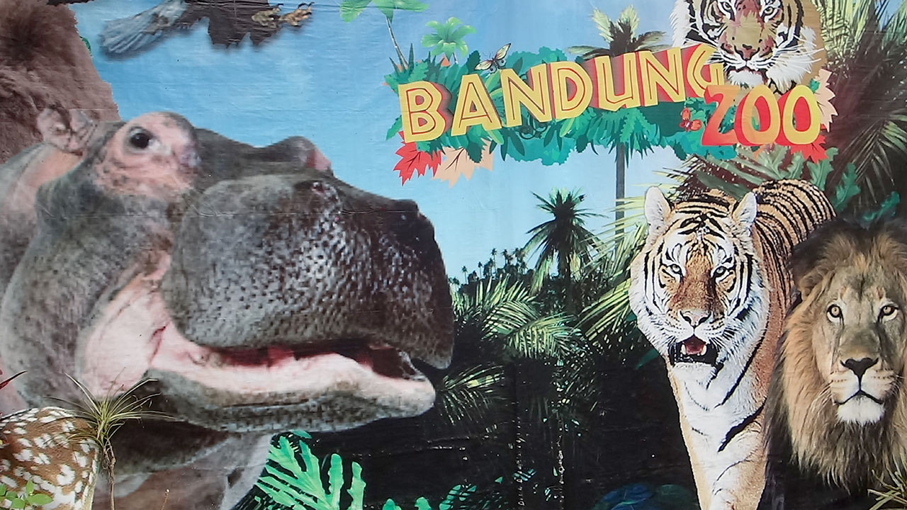 BANDUNG ZOO Visit And Gift on Asian Sex Diary Official