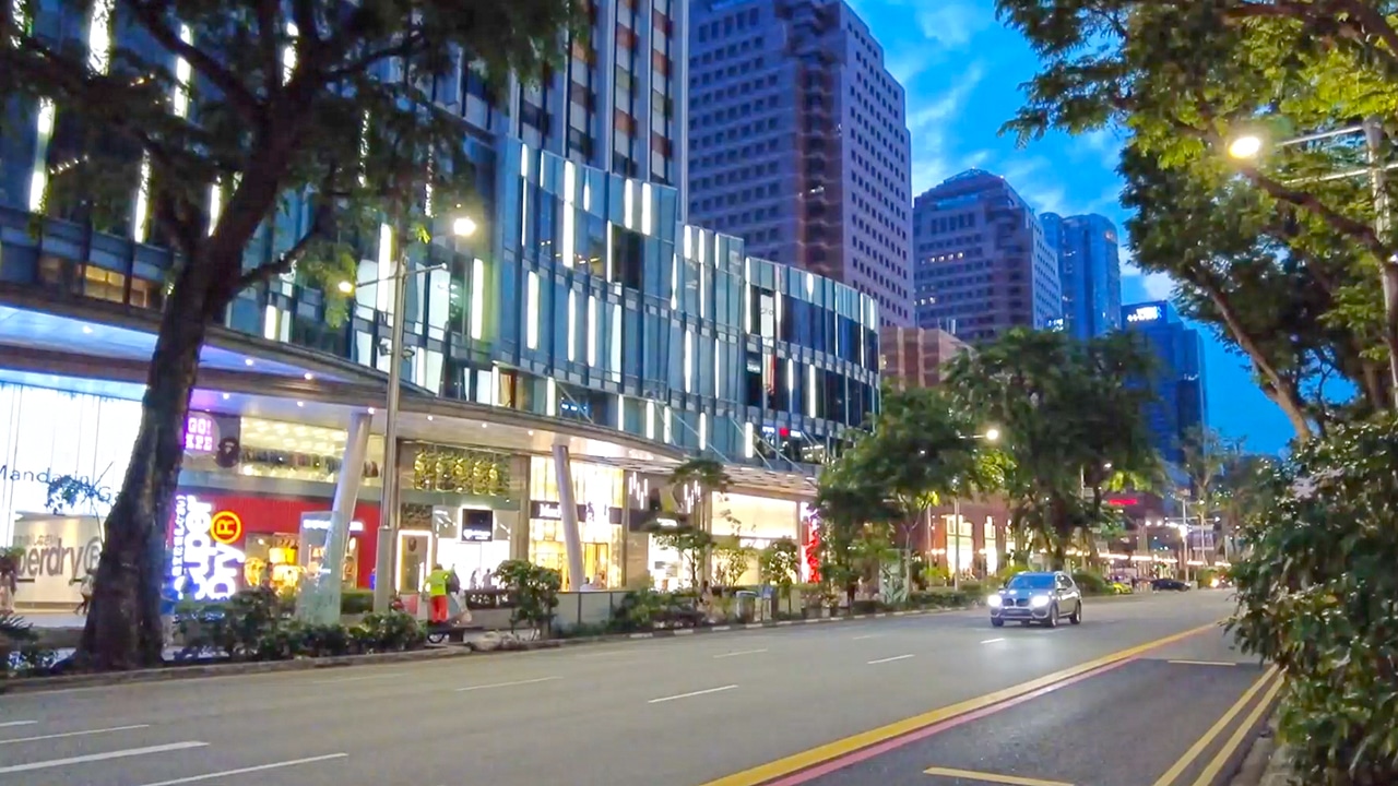 Singapore Birds Are So Fucking Loud!