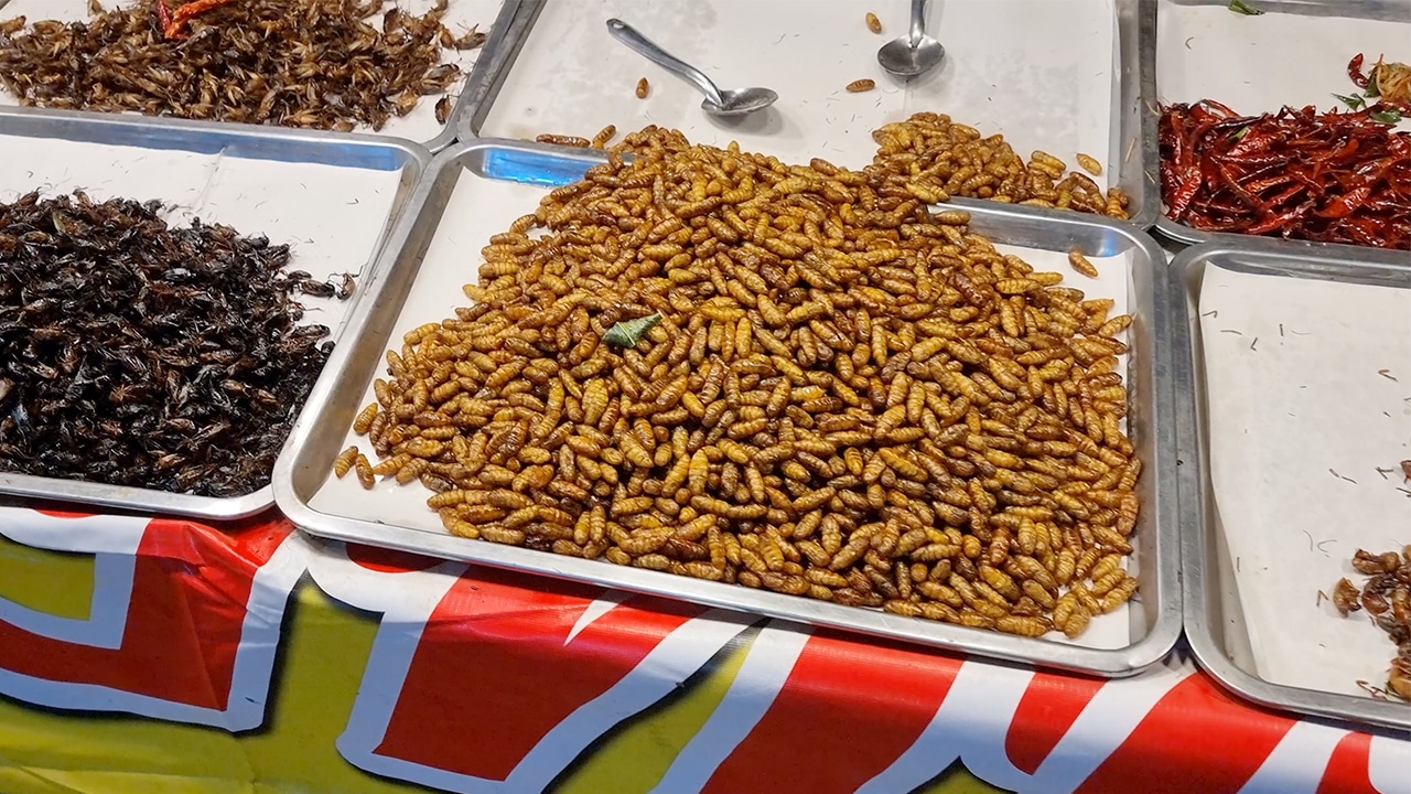 Thai Market Exploration