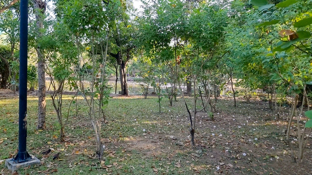 Phuket Walking Park Visit